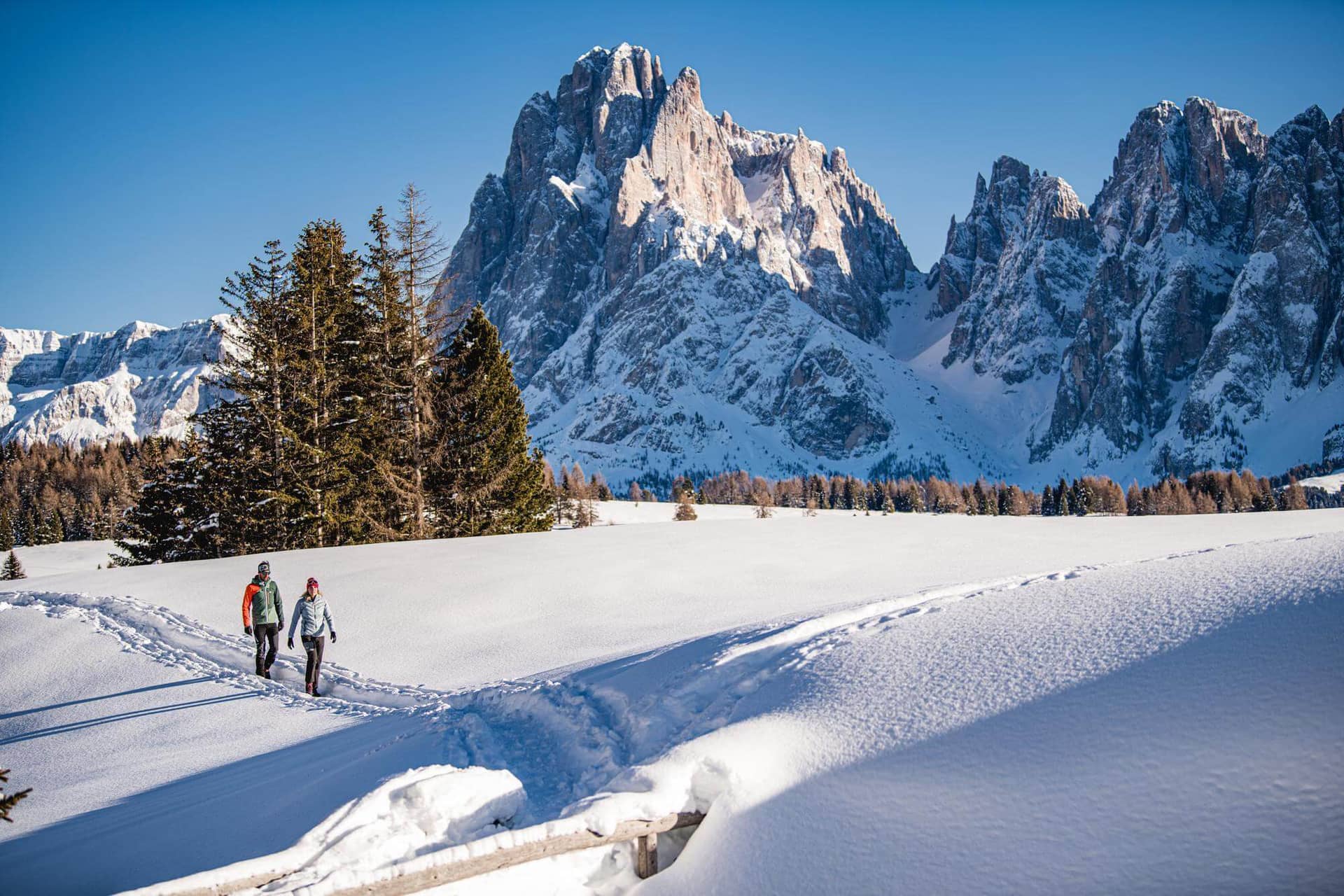 Urlaub im Naturpark Schlern-Rosengarten