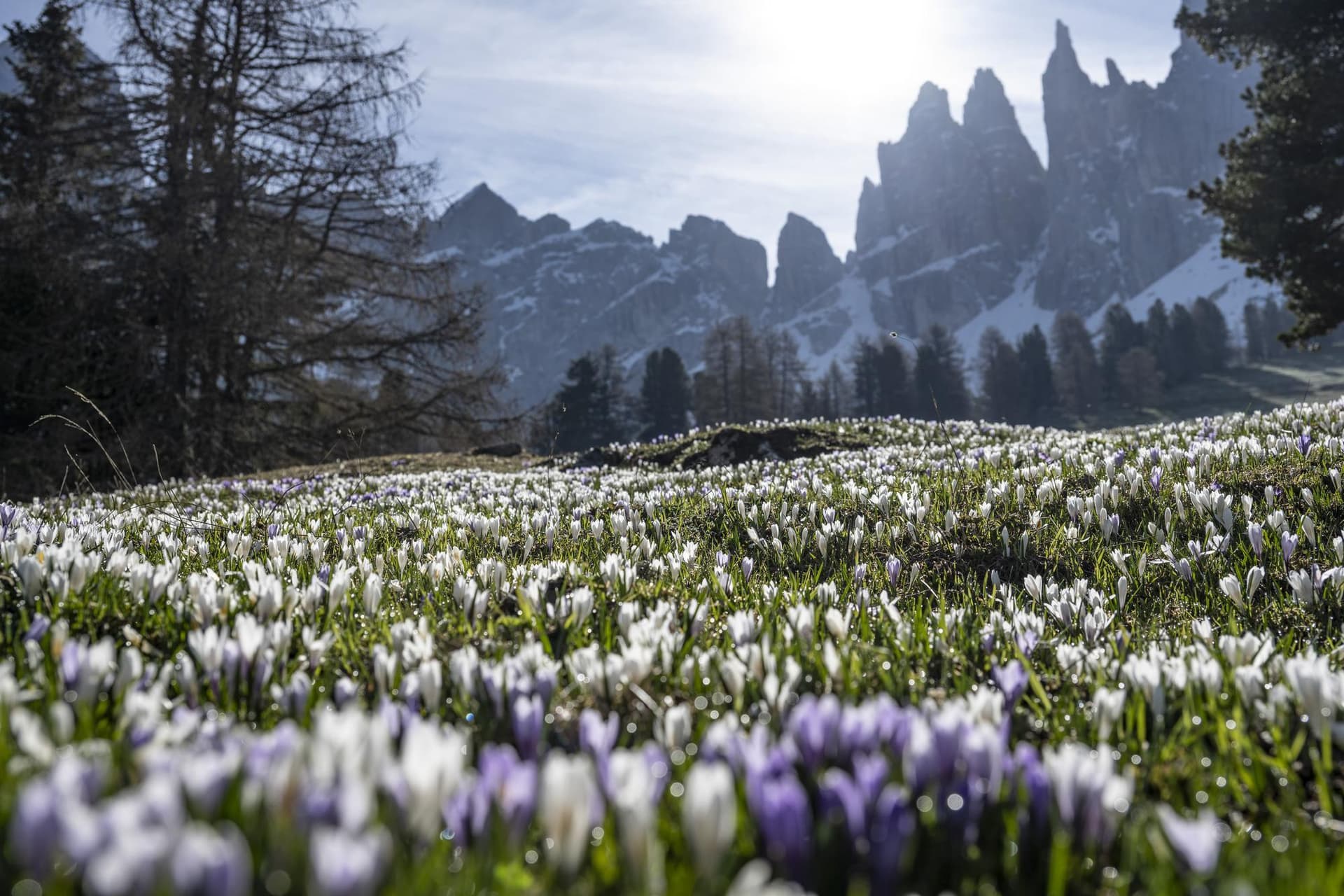 La forza delle leggende
